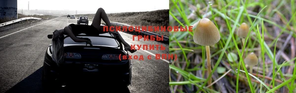 jwh Липки