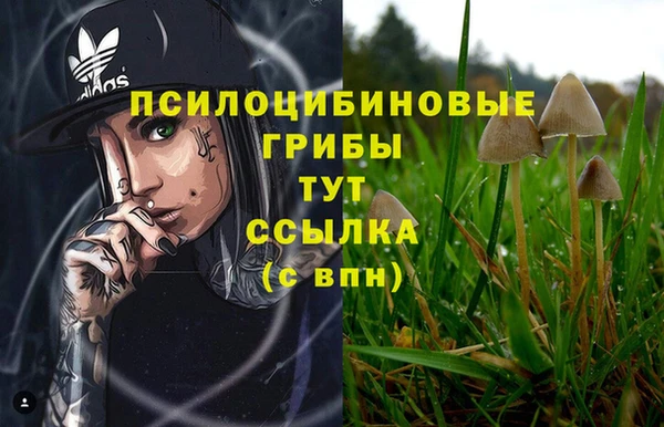 соль ск Новосибирск