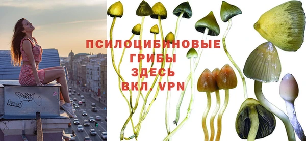 марки nbome Магадан