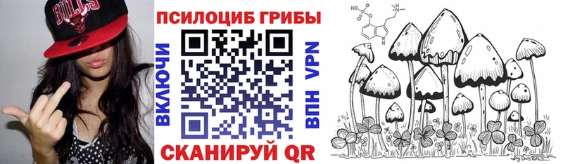 Купить закладки  Мончегорск  Псилоцибиновые грибы GOLDEN TEACHER 