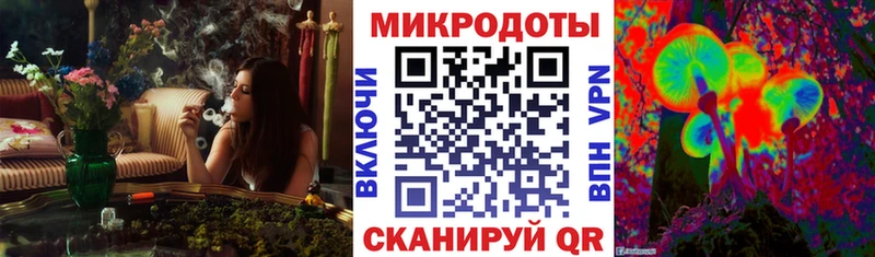 Псилоцибиновые грибы прущие грибы Мончегорск